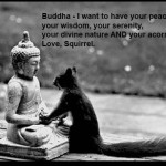 Squirrel and Buddha