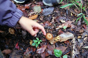 Give the Gift of Wonder and Brainpower | Marcy Axness PhD