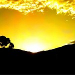 SunriseYellow