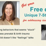 Free e-Booklet