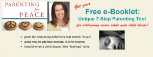 Free e-Booklet: Unique 7-Step Parenting Tool | Marcy Axness PhD
