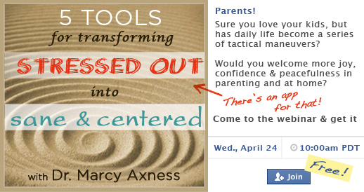 5 Tools for Transforming from Stressed Out into Sane & Centered webinar 