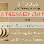 Sane&CenteredWebinarSlPanel